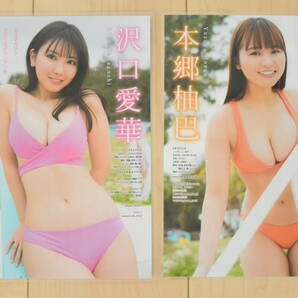 沢口愛華 本郷柚巴 ラミネート加工 ヤングマガジン カケヒキ 切り抜き 14ページ O018の画像2