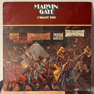 Marvin Gaye I Want You レコード LP マーヴィン・ゲイ アイ・ウォント・ユー マービン vinyl アナログ