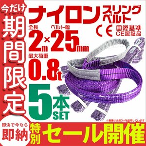 【数量限定セール】スリングベルト 2m 耐荷重800kg 幅25mm 5本セット 玉掛け 吊りベルト ナイロンスリング 運搬用 ラッシング クレーン