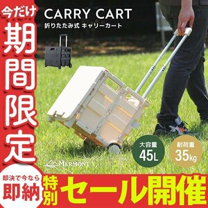 【数量限定セール】キャリーカート 折りたたみ 階段 ワゴン 台車 ショッピングカート 容量45L 大容量 耐荷重35kg キャスター付 フタ付