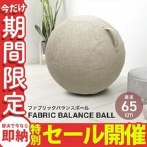 【数量限定セール】バランスボール 65cm 洗えるカバー付 空気入れポンプ付 ヨガボール 体幹トレーニング ダイエット 椅子_画像1