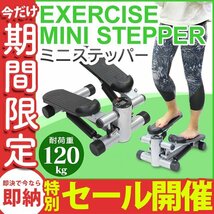 【数量限定セール】メーター付き ステッパー 健康器具 ダイエット器具 ステッパー 運動 フィットネス トレーニング ミニステッパー_画像1