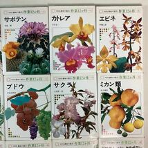 y4229 NHK 趣味の園芸 作業 12か月 園芸書 不揃い 24冊 まとめ売り 園芸 花 鉢植え 庭植え 栽培 管理 写真 図版 解説 ガーデニング 中古_画像3