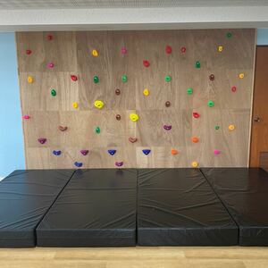 G431boruda ring wall climbing Hold mat boruda ring Jim tei service .. child care Nagano prefecture direct pickup limitation 