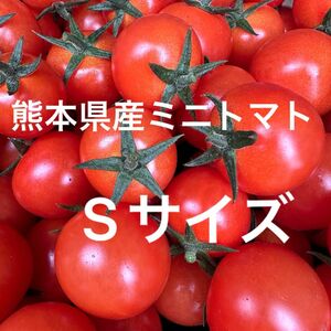 熊本県産 ミニトマト Sサイズ 900g 新品種 TYみわく