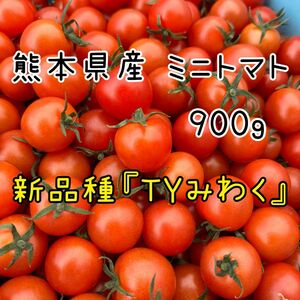 熊本県産 ミニトマト 900g 新品種 TYみわく