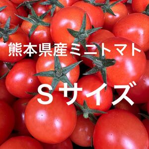 熊本県産 ミニトマト Sサイズ 900g 新品種 TYみわく