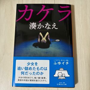 カケラ （集英社文庫　み５０－３） 湊かなえ／著