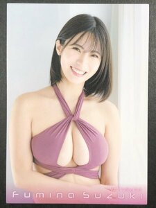 鈴木 ふみ奈　Vol.２　RG73　水着 グラビア アイドル トレカ トレーディングカード