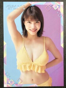 岸 明日香　Vol.４　RG74　水着 グラビア アイドル トレカ トレーディングカード