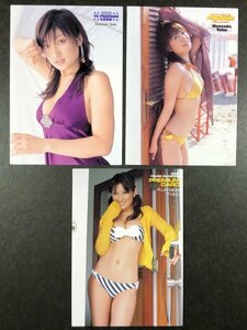 熊田 曜子　ヤングチャンピオン 2005・2006・2007　３枚セット　グラビア アイドル トレカ トレーディングカード