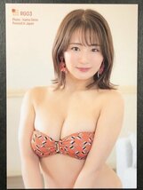 平嶋 夏海　Vol.5　RG03　水着 AKB48 グラビア アイドル トレカ トレーディングカード バイク女子_画像1