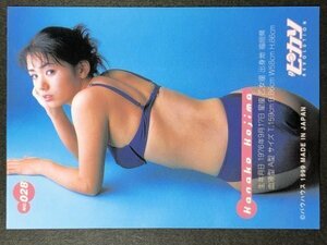 小島 可奈子　Dr．ピカソ　028　水着 グラビア アイドル トレカ トレーディングカード