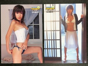 石川 夕紀　ヤングチャンピオン 2004　140・143　2枚セット　水着 グラビア アイドル トレカ トレーディングカード