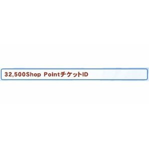 ラグナロクオンライン 32500shoppoint チケット コスタマ他の画像1