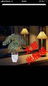 光の楽園　光触媒　人工観葉植物　ウォールグリーン　フェイクグリーン　モンステラポット40