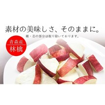 【送料無料】【みちのくファーム】フリーズドライ 青森産りんご　30ｇ×3p_画像8