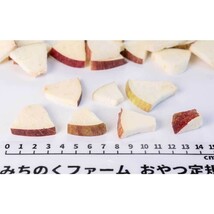 【送料無料】【みちのくファーム】フリーズドライ 青森産りんご　300g_画像3