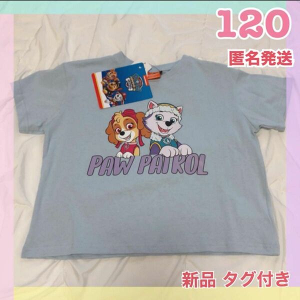 新品 パウパトロール スカイ エベレスト トップス 半袖 Tシャツ 女の子 子供 キッズ