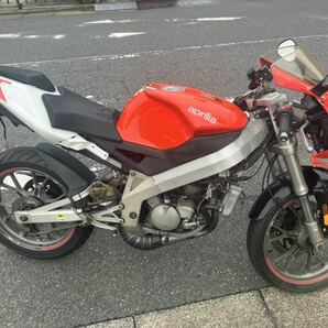 Aprilia RS50 2007年式の画像3