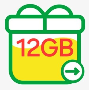 【匿名】mineo マイネオ パケットギフト 12GB 10GB以上20GB未満