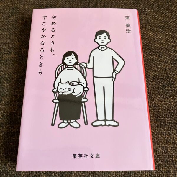 やめるときも、すこやかなるときも (集英社文庫 く36-1) 窪美澄/著