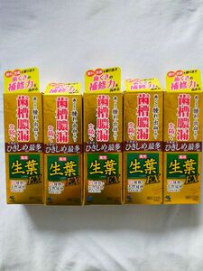 生葉 薬用歯磨き EX 100g