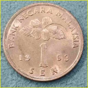 【マレーシア 1セン 硬貨/1993年】 MALAYSIA 1 SEN/銅貨/旧硬貨/コインの画像2