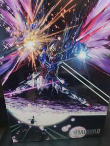 [ вскрыть товар ]METAL BUILD Destiny Gundam ( полный упаковка )[ включая доставку ]