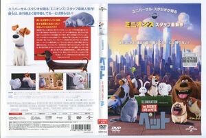 e3137 ■ケース無 R中古DVD「ペット」声：設楽統/日村勇紀/佐藤栞里 レンタル落ち