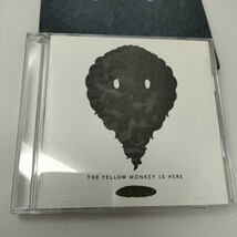 FC限定盤　2CD THE YELLOW MONKEY / THE YELLOW MONKEY IS HERE . NEW BEST イエローモンキー 　ファンクラブ　即決　送料込み_画像3