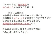 T【A4-16】【送料無料】♪未開封/トミカ プレミアム/日産 スカイライン GT-R/V-SPECRⅡNur・BNR32/ミニカー_画像7