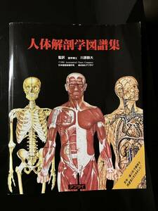 【即決・送料込み】人体解剖学図譜集　アプライ