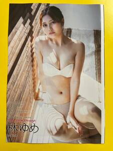 D 13★林ゆめ★切り抜き8P DOLCE ドルチェ vol.10 2024 送料120円～