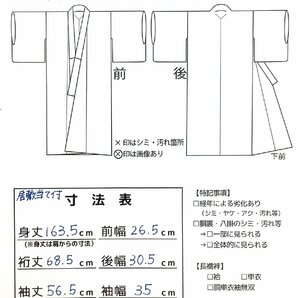 着物cocon★紬 単衣 身丈163.5 裄 68.5 正絹  グレー系 居敷当て付き 帯・小物別売り【4-24-3K-1161-p】の画像9