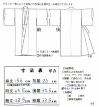 着物cocon★紬　単衣 身丈156 裄 65.5 正絹　 アイボリー系 帯・小物別売り【4-11-3K-1492-t】_画像9