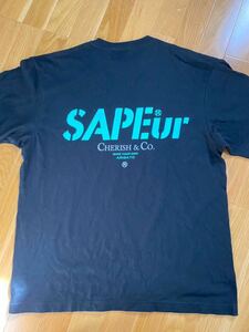 サプール　sapeur Ｔシャツ Ｌサイズ　ティファニー