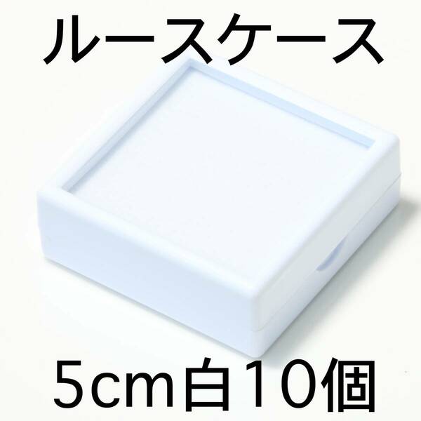 ルースケース10個セット5cmx5cm白