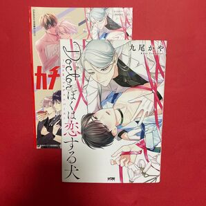 Doctorぼくは恋する犬 Dom/Subユニバース (カチCOMI) 九尾かや/著 カチCOMI5th小冊子付き