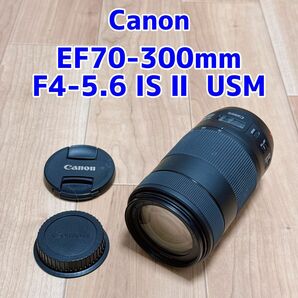 Canon EF70-300mm F4-5.6 IS II USM