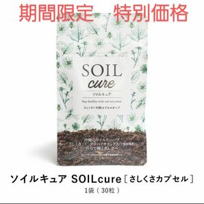 SOIL cure ソイルキュア　さしくさカプセル（30粒入り/30日分）1袋　新品