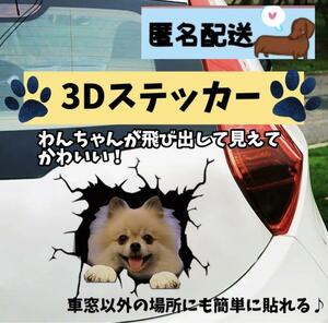 ステッカー 車 3Dプリント 面白い ポメラニアン シール カー用品 飾り