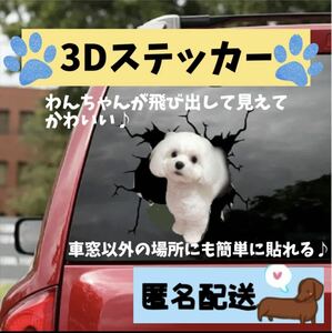 ステッカー 車 3Dプリント 面白い シーズー シール カー用品 飾り