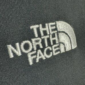 THE NORTH FACE(ザ・ノースフェイス） S/S TNF Bug Free Tee（TNFバグフリーティー）NT12234 グレー M 希少モデル GOLDWIN正規品の画像6
