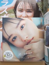 未開封DVD付き 週刊プレイボーイ 2023年 12/11 号No.50 豊島心桜 紗綾 小池里奈 河野まひる ちばひなの 猫宮あすか 桜りん_画像2