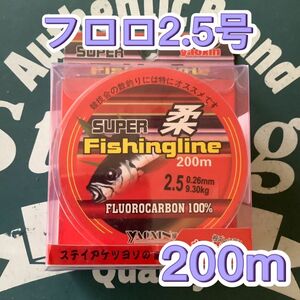 お得な200mフロロライン2.5号フロロカーボン2.5号200m バス釣りや根魚 ちょい投げ等にも