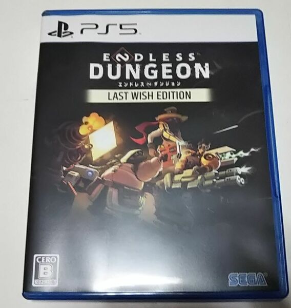 PS5●ENDLESS DUNGEON エンドレス ダンジョン