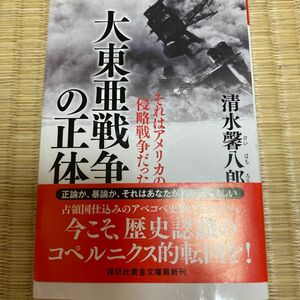 大東亜戦争の正体　それはアメリカの侵略戦争だった （祥伝社黄金文庫　Ｇし７－４） 清水馨八郎／著