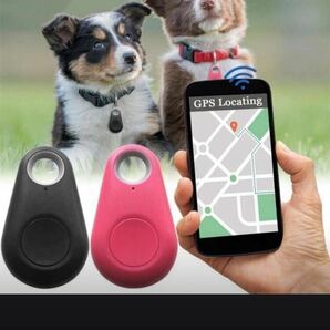 GPSセール 電池付き 猫 犬 迷子 認知症 防犯対策 物の紛失 捜索に役立つ 音がなる 防災2の画像1