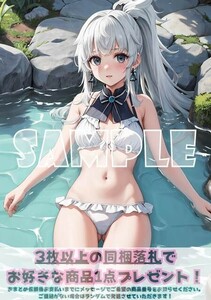 Z2504 由井正雪 Fate フェイト サムライレムナント A4 同人 イラスト 巨乳 美少女 コスプレ Anime アニメ ポスター セクシーアート acg.